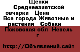 Щенки Среднеазиатской овчарки › Цена ­ 30 000 - Все города Животные и растения » Собаки   . Псковская обл.,Невель г.